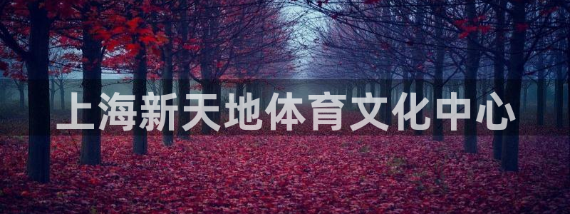 意昂32注册：上海新天地体育文化中心