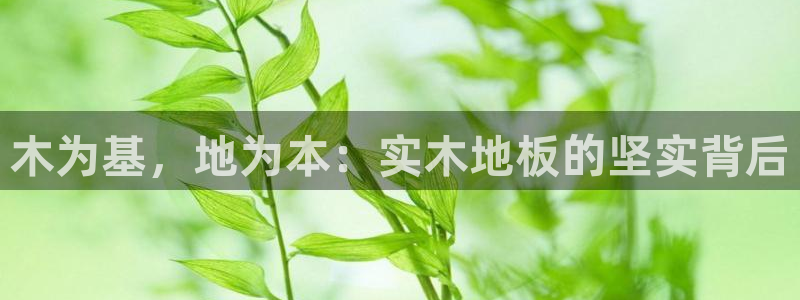 意昂32注册：木为基，地为本：实木地板的坚实背后