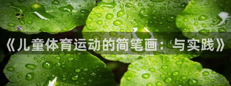 意昂35：《儿童体育运动的简笔画：与实践》