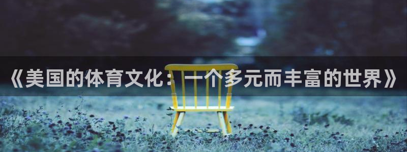 意昂33登录：《美国的体育文化：一个多元而丰富的世界》