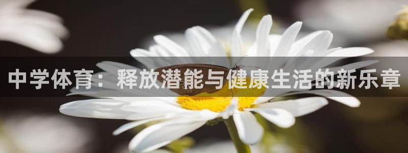 意昂3体育凯捷平台招商：中学体育：释放潜能与健康生活的新乐章