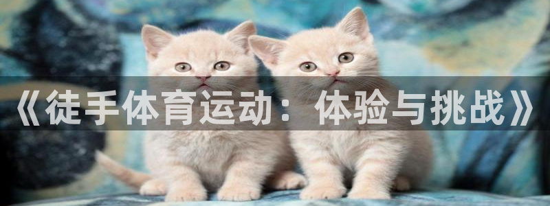 意昂3代理：《徒手体育运动：体验与挑战》