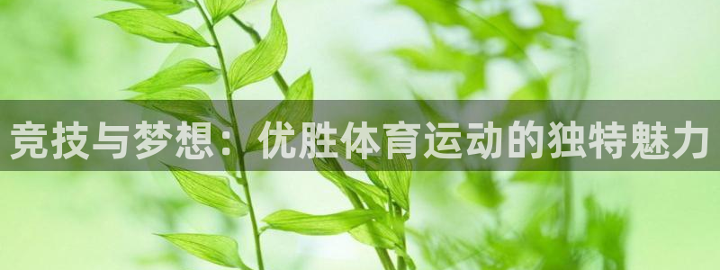 意昂32登录：竞技与梦想：优胜体育运动的独特魅力