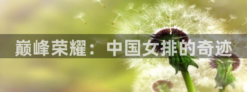 意昂3集团官网：巅峰荣耀：中国女排的奇迹