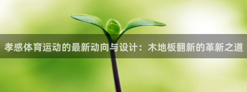 意昂3体育凯捷平台主管：孝感体育运动的最新动向与设计：木地板翻新的革新之道