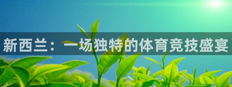 意昂3代理：新西兰：一场独特的体育竞技盛宴