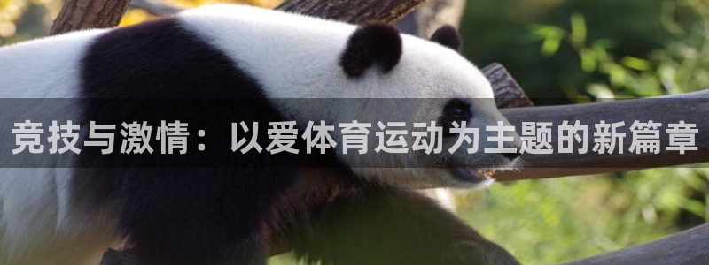 意昂3：竞技与激情：以爱体育运动为主题的新篇章